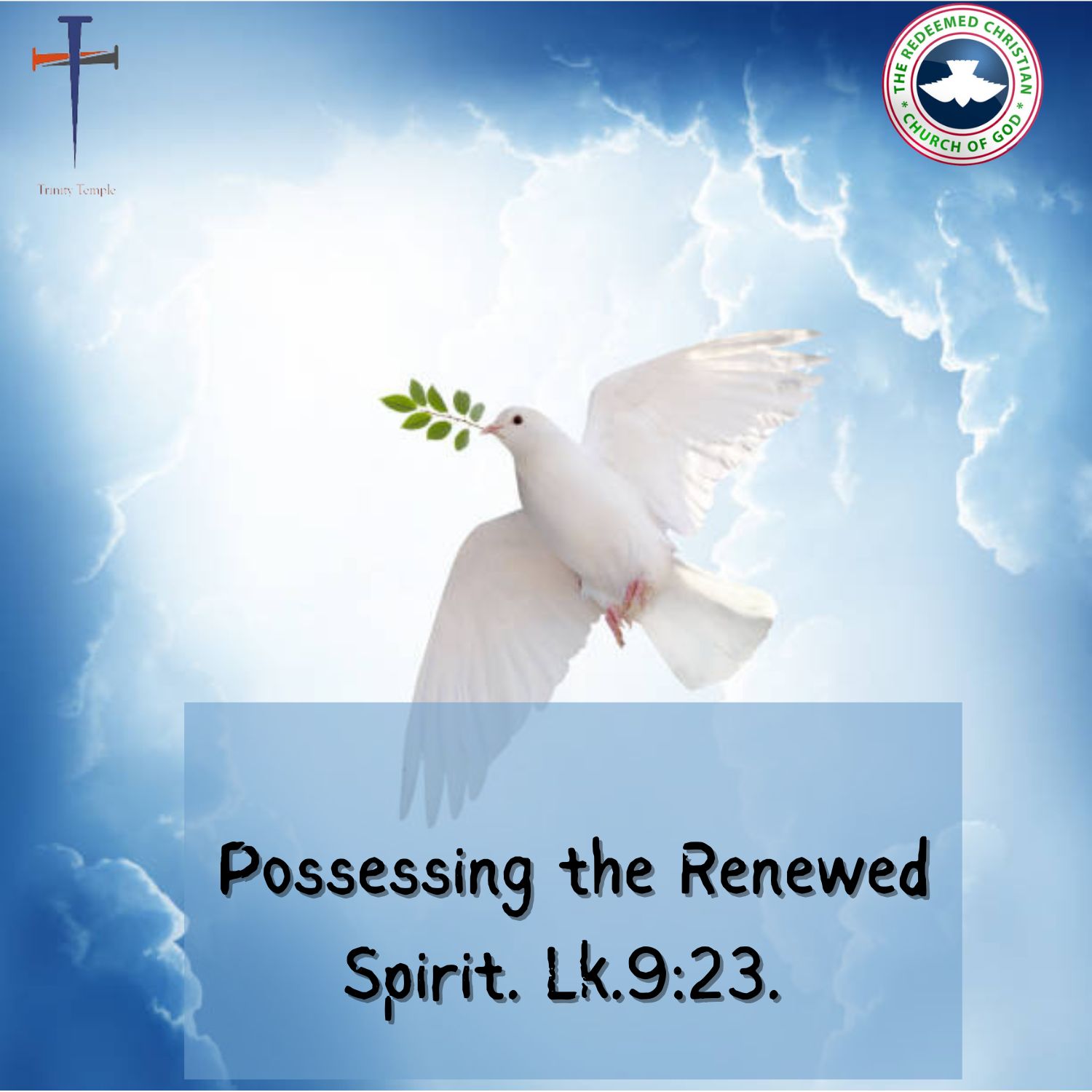 Possessing the Renewed Spirit